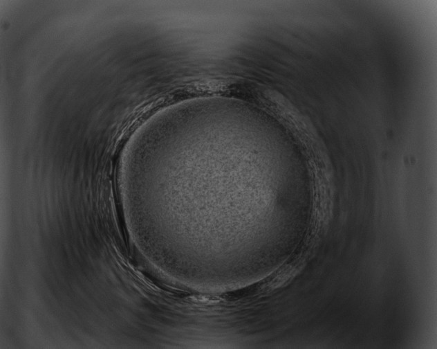 X0000051890624200507020057