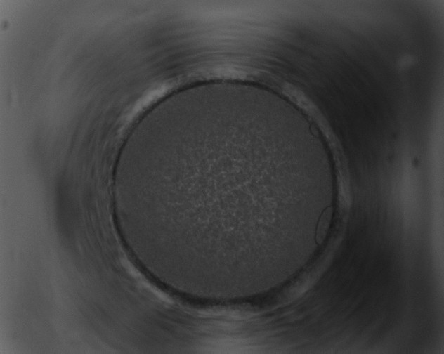 X0000051890625200507020056