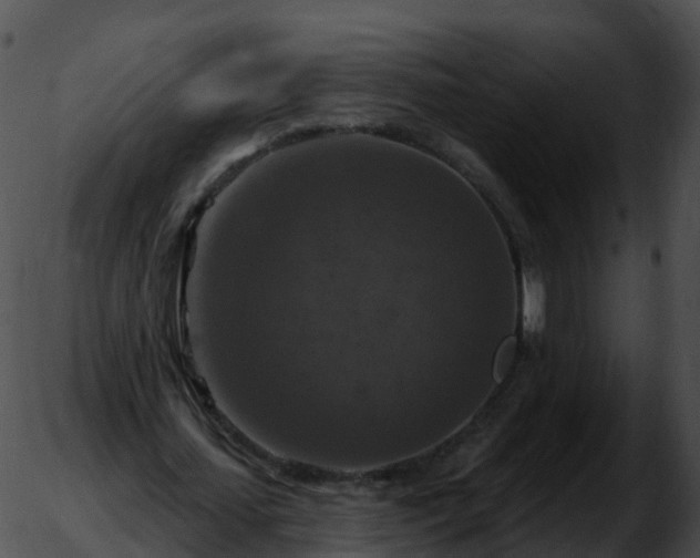 X0000051890627200507020056