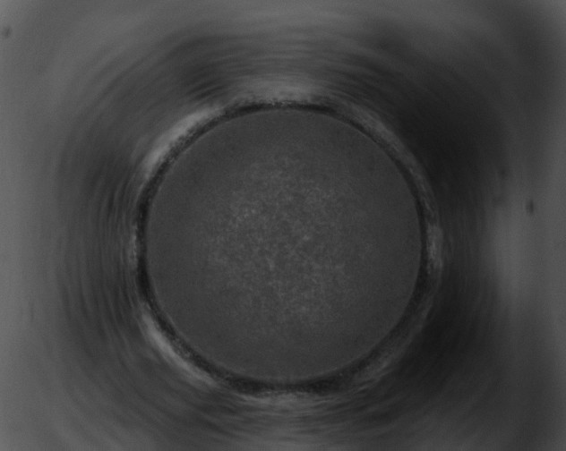 X0000051890629200507020056