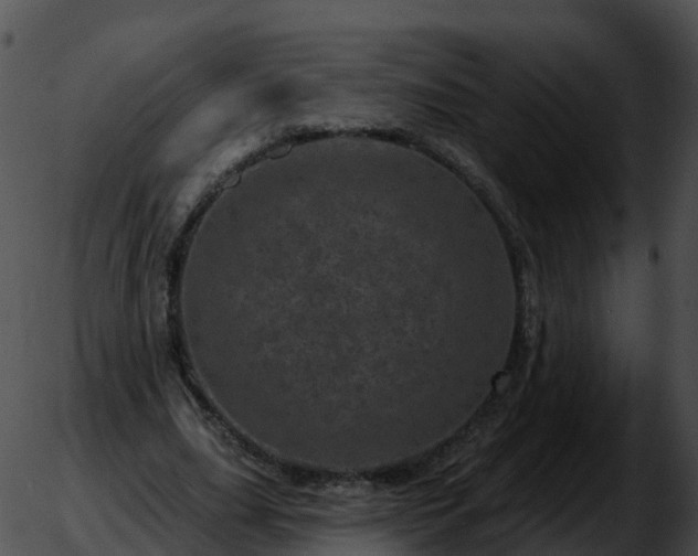 X0000051890631200507020056