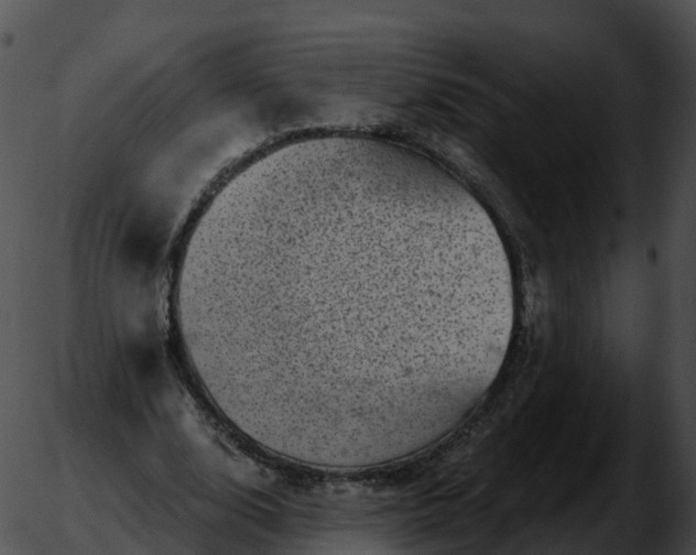 X0000051890632200507020057