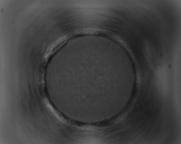 X0000051890633200507020057