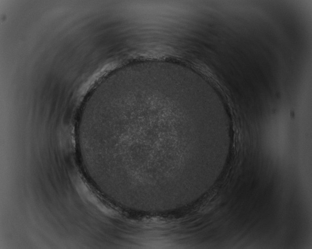 X0000051890634200507020057