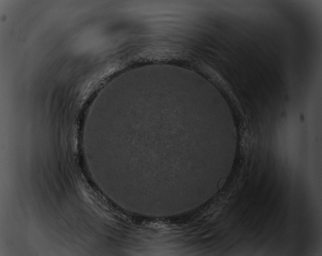 X0000051890635200507020057