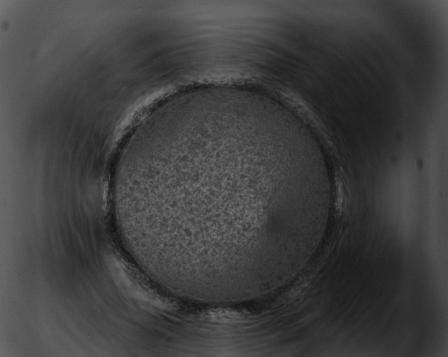 X0000051890636200507020057