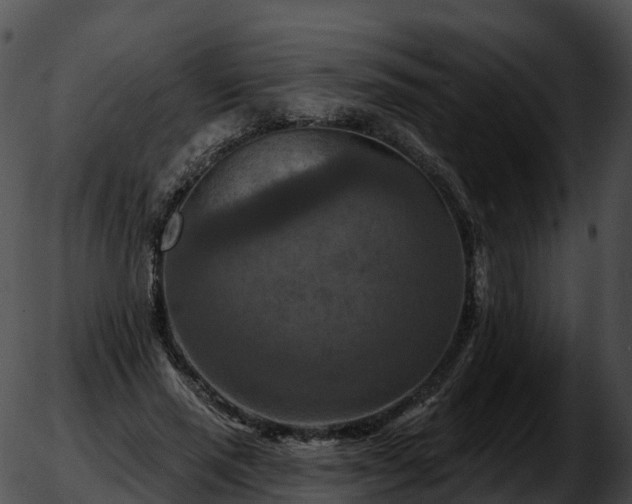 X0000051890637200507020057