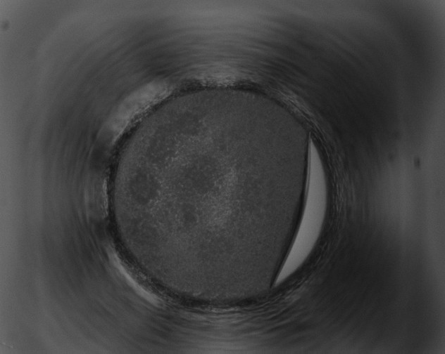 X0000051890638200507020057