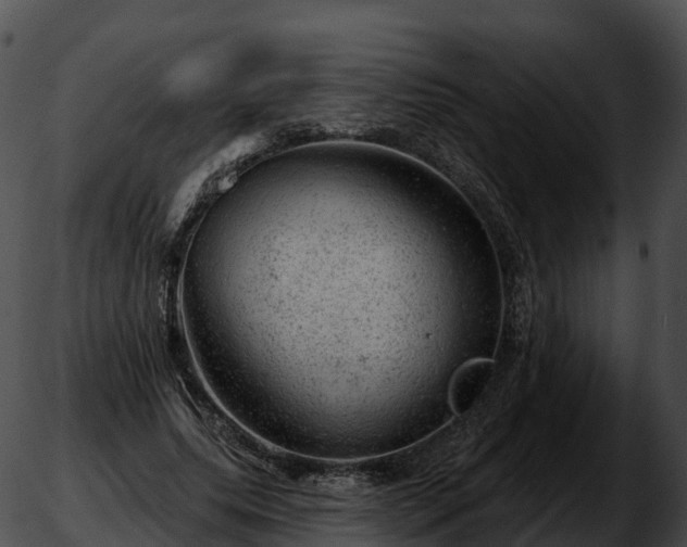 X0000051890639200507020057