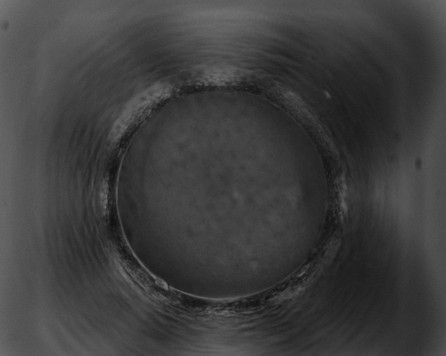 X0000051890640200507020057