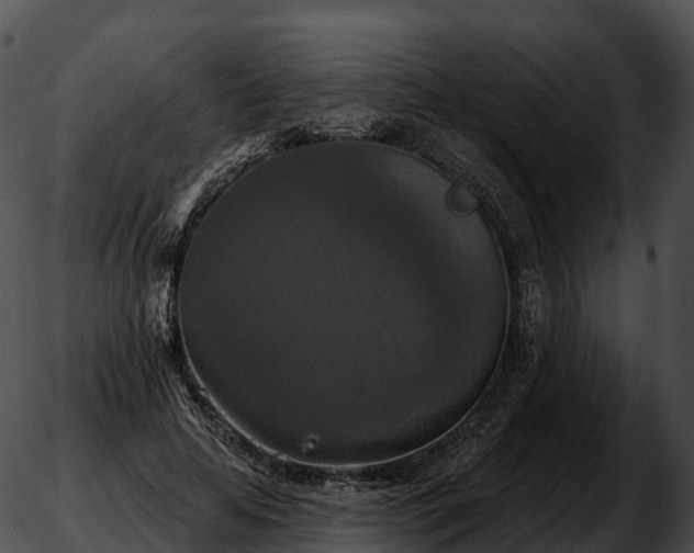 X0000051890641200507020057