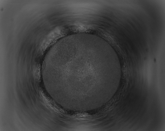 X0000051890642200507020057