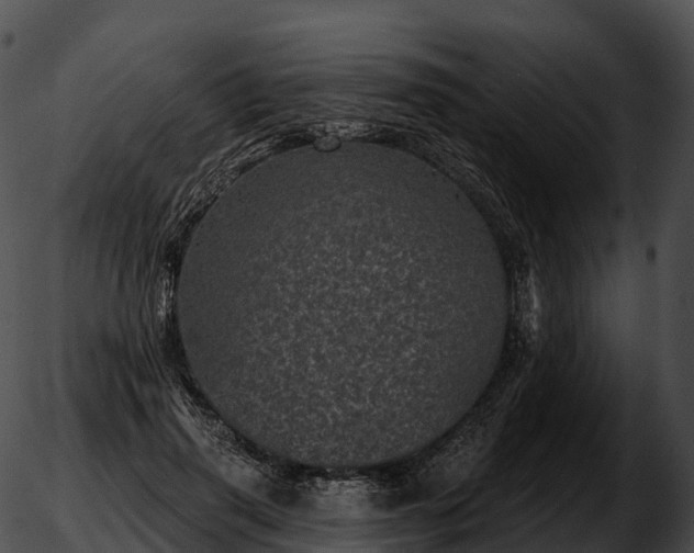 X0000051890645200507020057