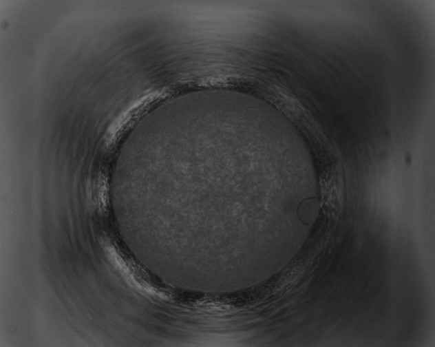 X0000051890648200507020057