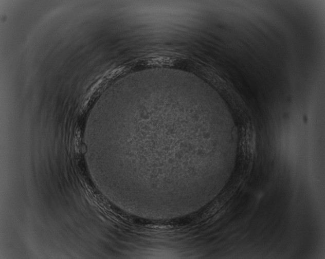 X0000051890649200507020057