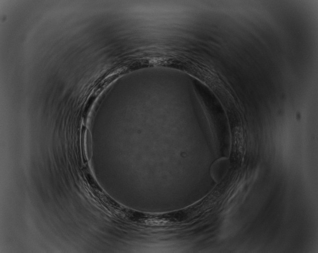 X0000051890650200507020057