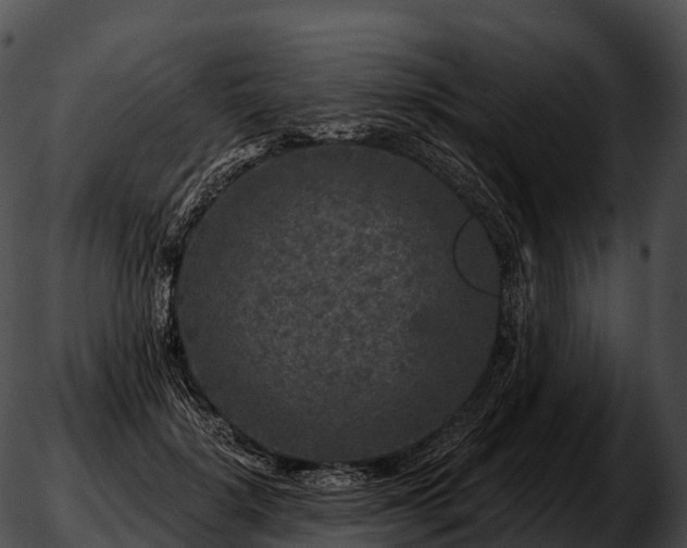 X0000051890652200507020057