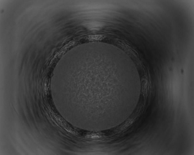 X0000051890655200507020057