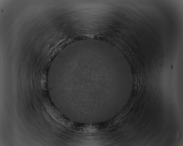 X0000051890656200507020057