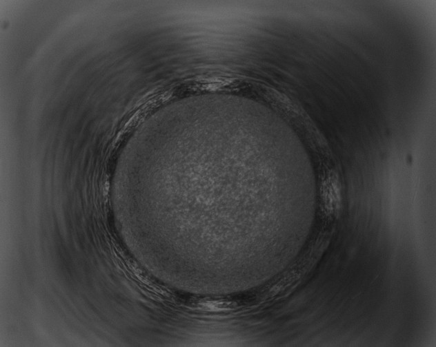 X0000051890657200507020057