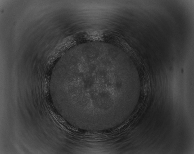 X0000051890658200507020057