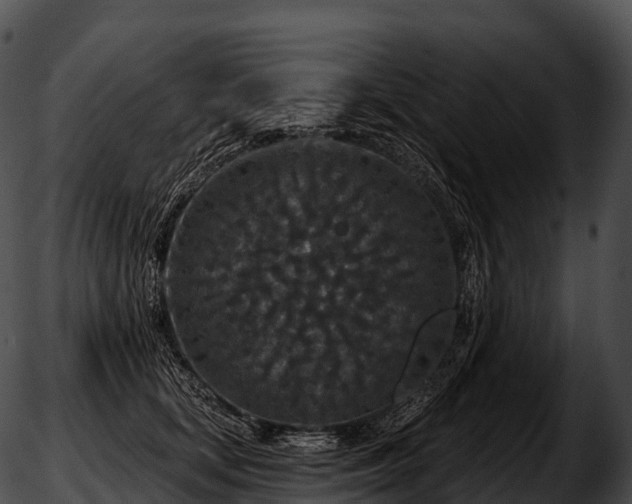 X0000051890659200507020057