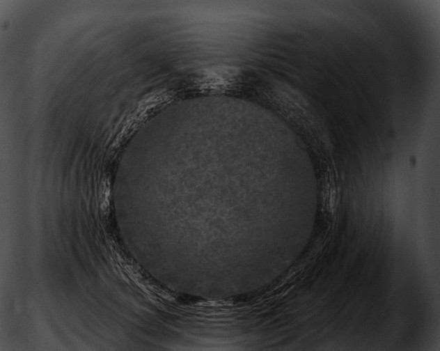 X0000051890660200507020057