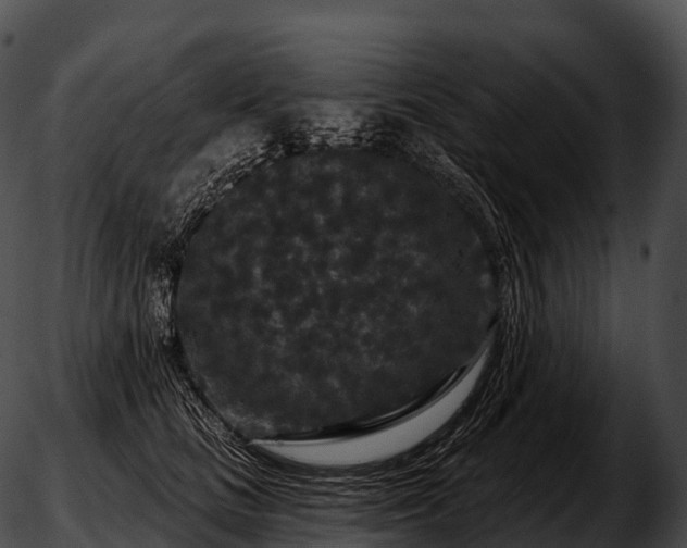 X0000051890661200507020057