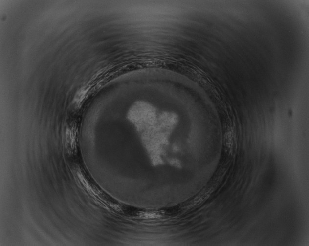 X0000051890662200507020057