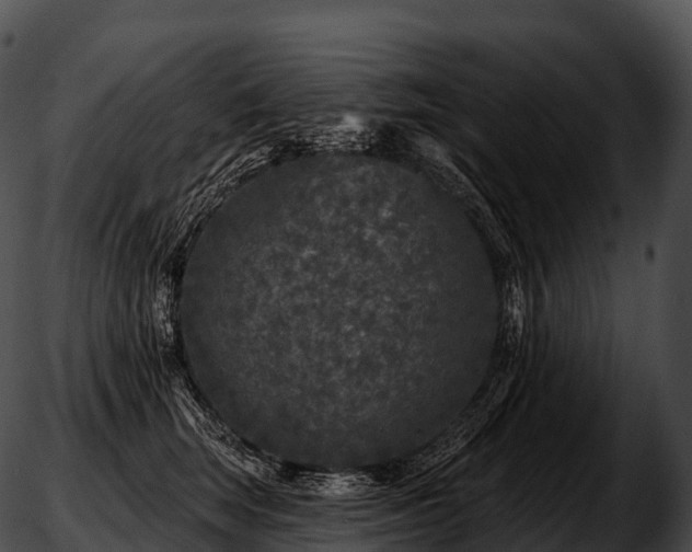 X0000051890663200507020057