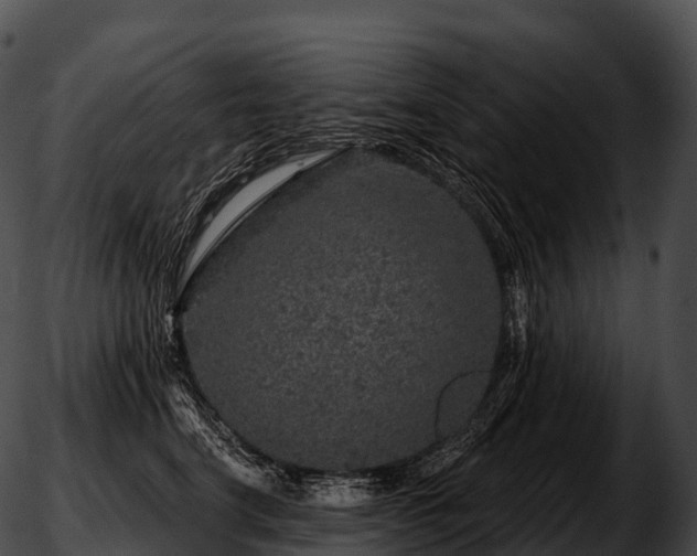 X0000051890664200507020057