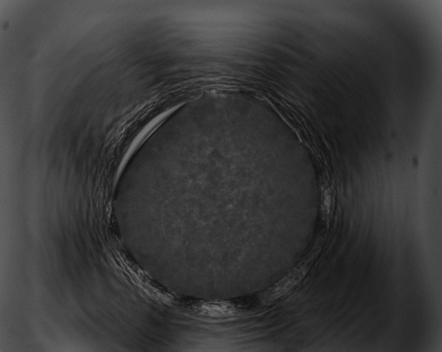 X0000051890666200507020057