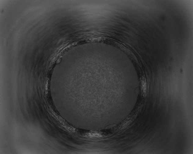 X0000051890668200507020057