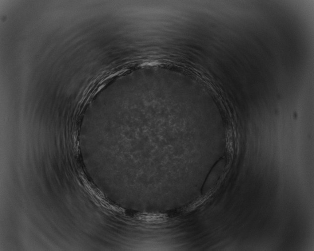 X0000051890670200507020057