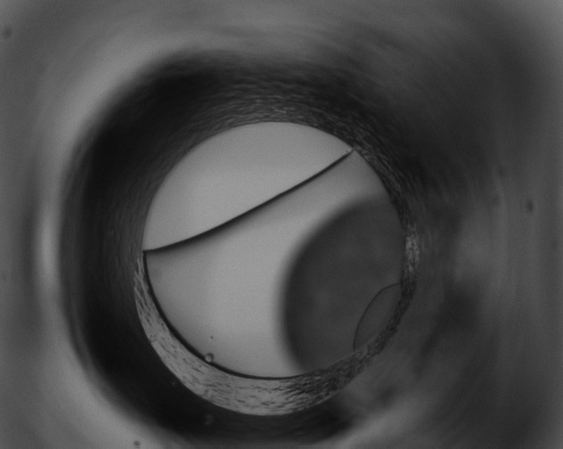 X0000051890671200507020057