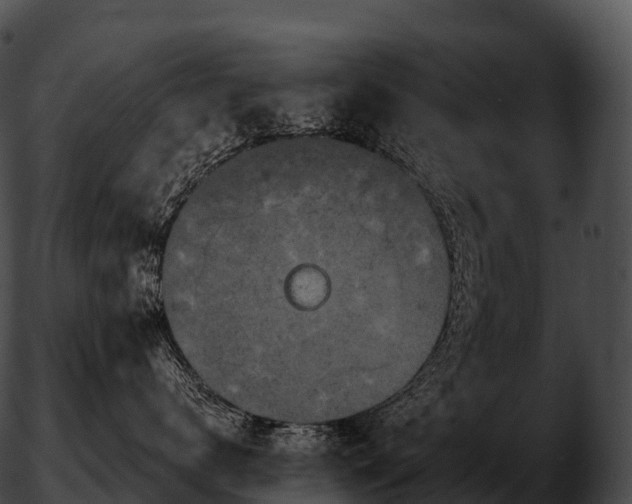 X0000051890672200507020057