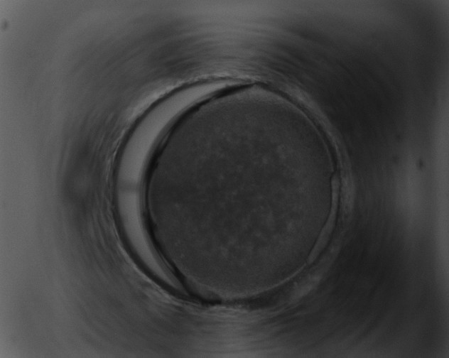 X0000051890673200507020056