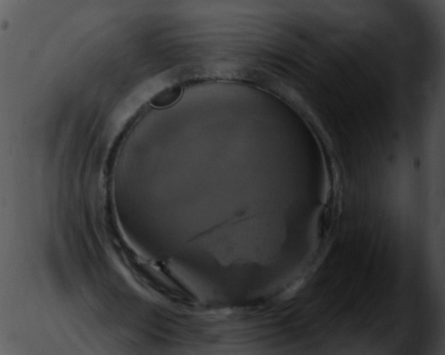 X0000051890674200507020056