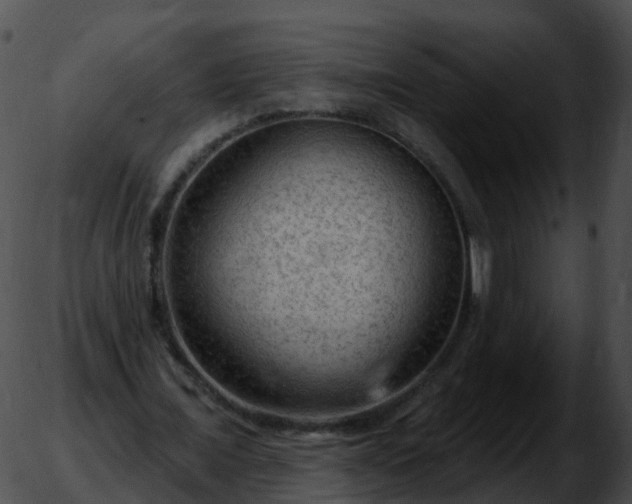 X0000051890675200507020056