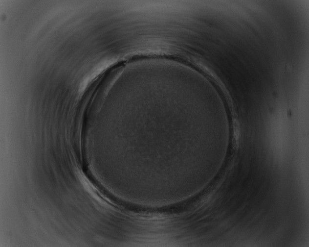 X0000051890677200507020056