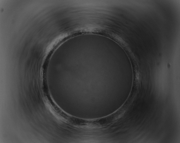 X0000051890678200507020056