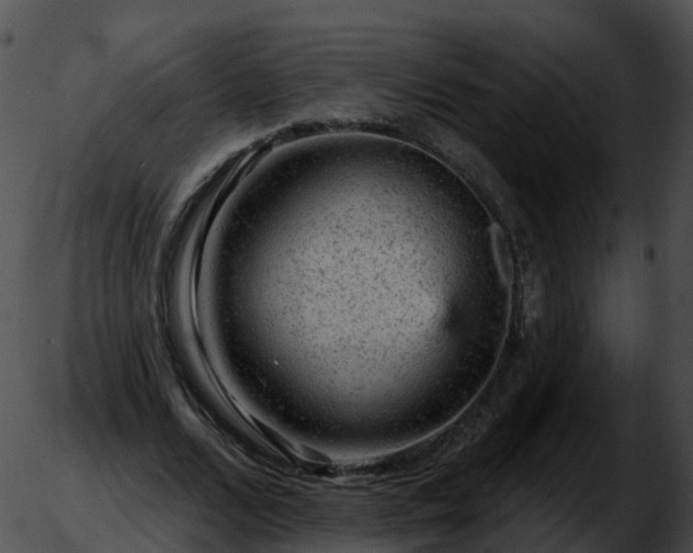 X0000051890680200507020056