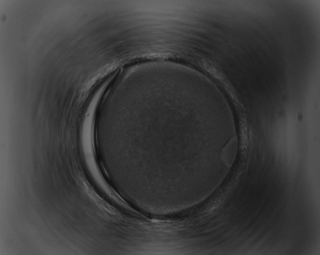 X0000051890681200507020056