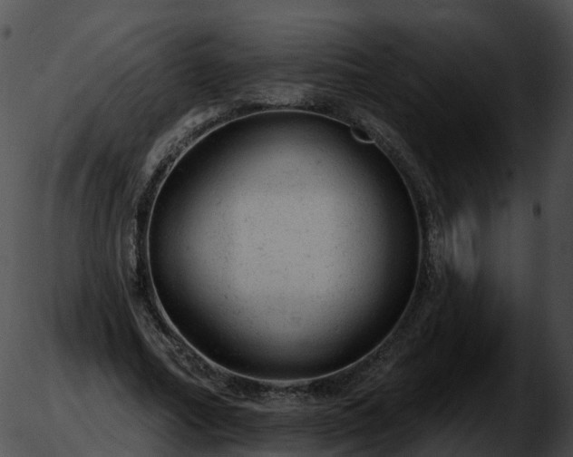 X0000051890682200507020056