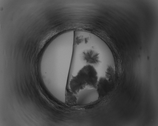 X0000051890683200507020056