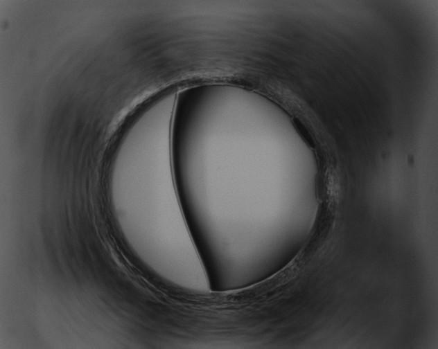 X0000051890684200507020056