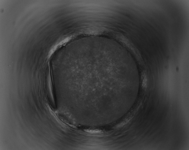 X0000051890685200507020056