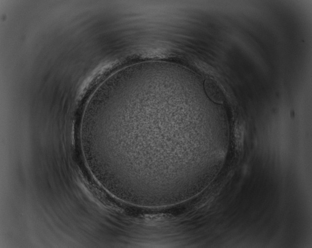 X0000051890686200507020056