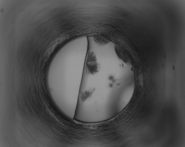 X0000051890687200507020056