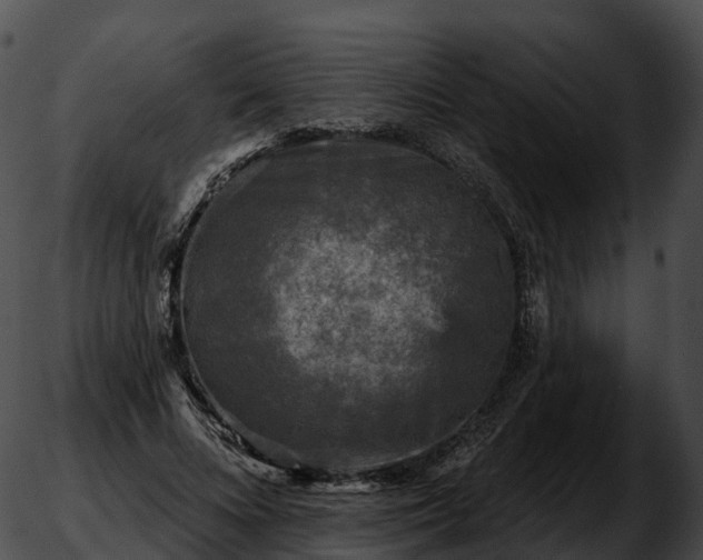 X0000051890688200507020056